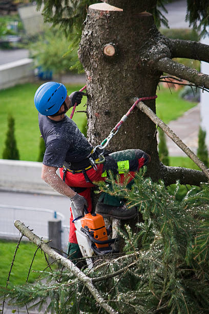 Best Lawn Mowing  in Keansburg, NJ